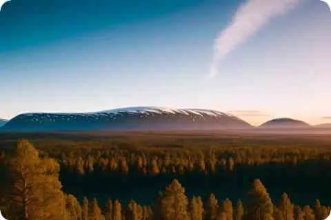 高考语文作文题目的格式