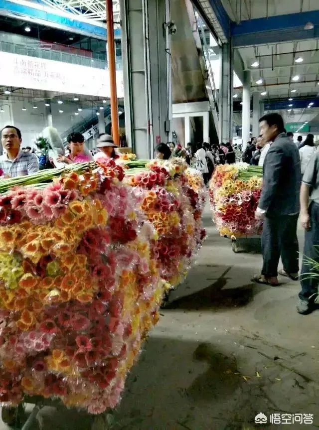 云南有哪些大的鲜花市场？