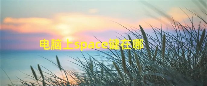 电脑上space键在哪