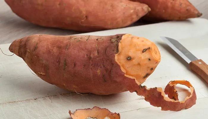 甘薯是什么 甘薯指的是什么