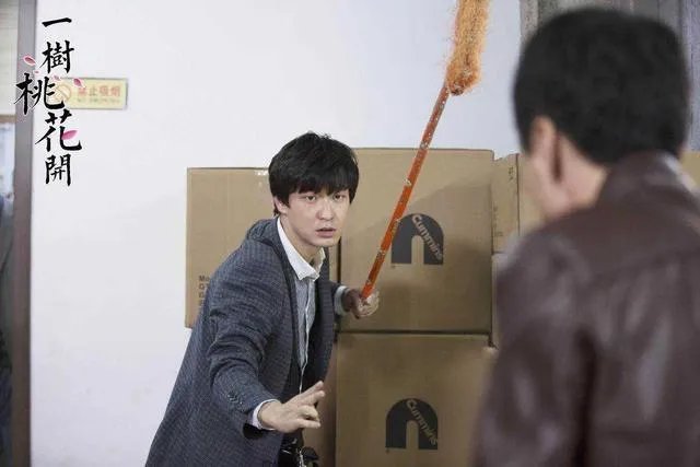 电视剧《一树桃花开》，相比盛开，为啥狄英最后能治服罗耀辉母？