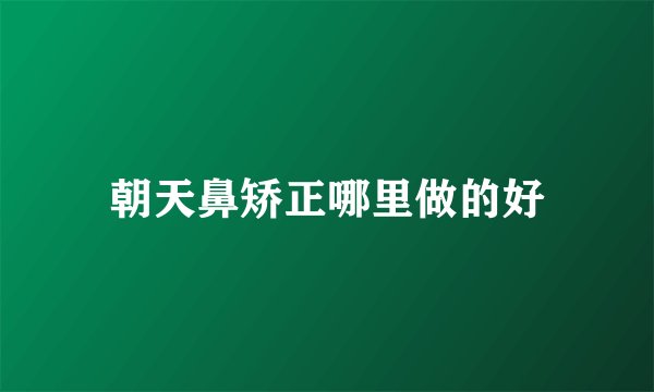 朝天鼻矫正哪里做的好