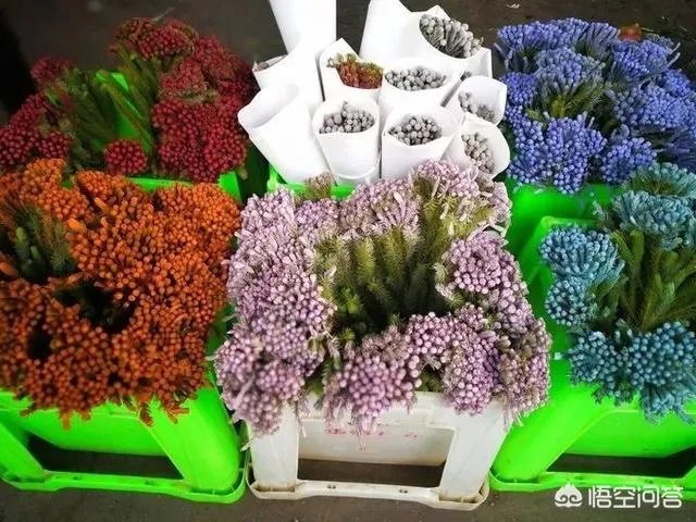 云南有哪些大的鲜花市场？