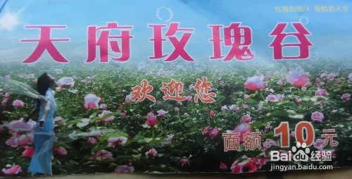 成都郫县玫瑰谷