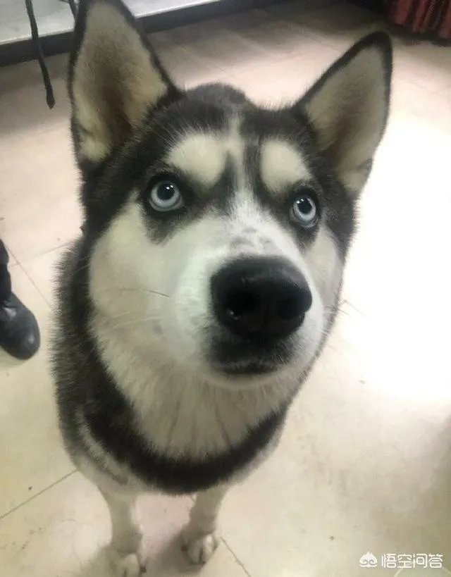 北京哪家温泉比较好？