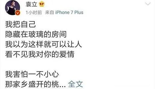 袁立婚房疑曝光:揭袁立婚房什么样子照片