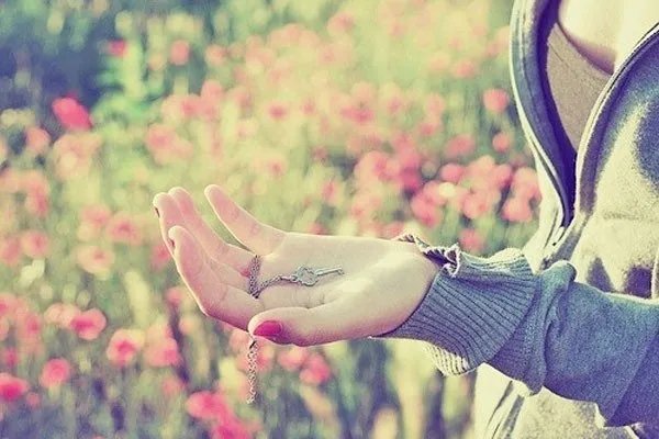 医路有你生死不弃(江恋陈知言)全章节小说全文免费阅读