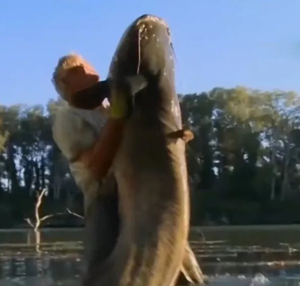 亚马逊鲇鱼怎么做