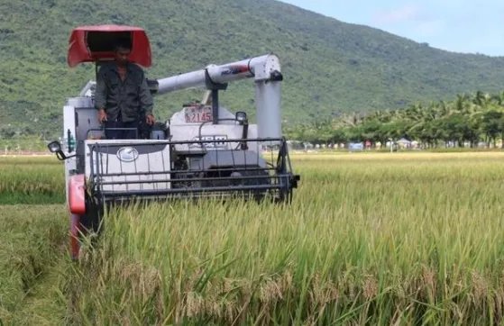 袁隆平超级杂交稻平均亩产多少？