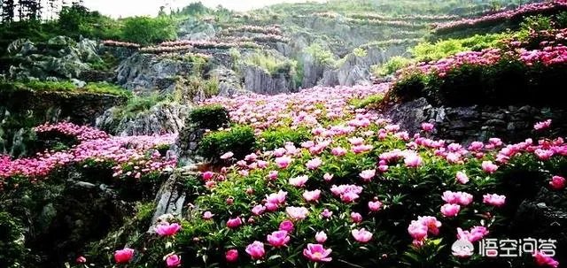 安徽芜湖房价还会涨吗?