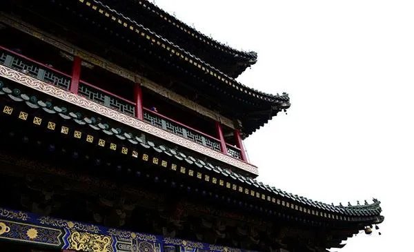 天津为什么多美女？