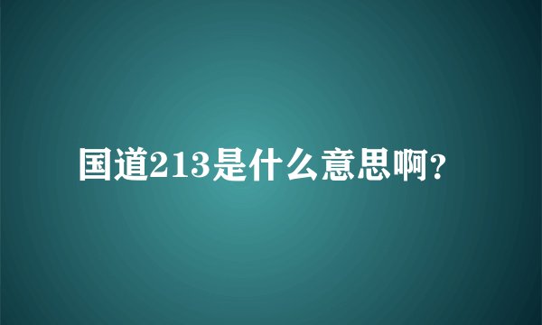 国道213是什么意思啊？