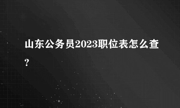 山东公务员2023职位表怎么查？