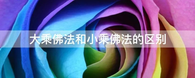 大乘佛法和小乘佛法的区别