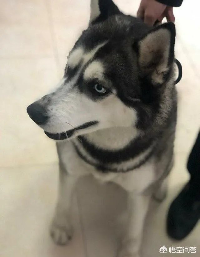 北京哪家温泉比较好？