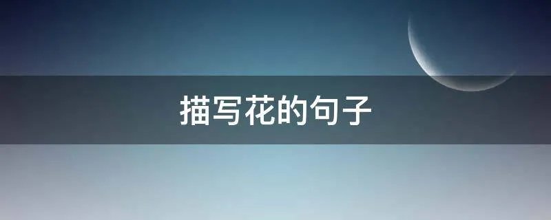 描写花的句子