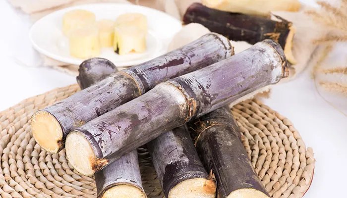 甘蔗的产地 甘蔗的产地在哪里