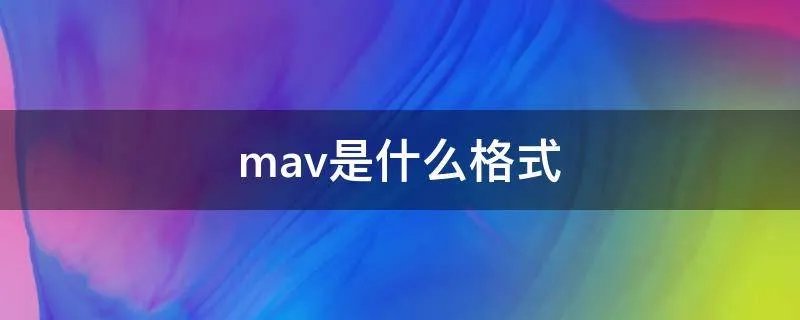 mav是什么格式