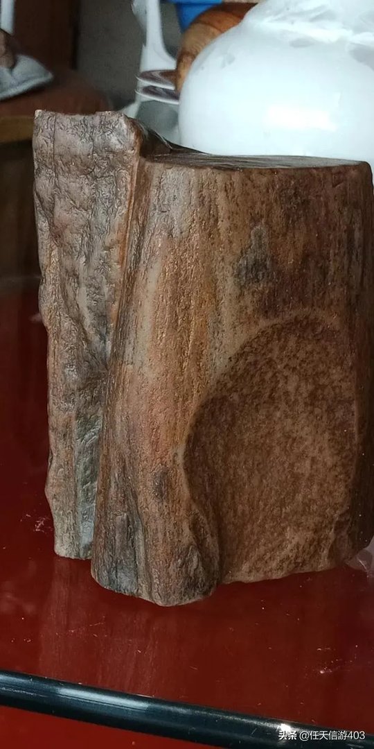 真正的树化石价格