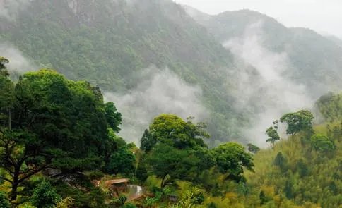 福建7地入选“中国森林氧吧”，分别是哪7个？