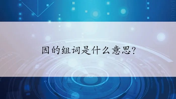因的组词是什么意思？