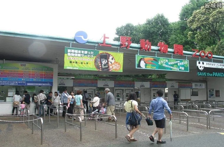 日本为熊猫建豪宅 斥资22亿面积超过1000平方米