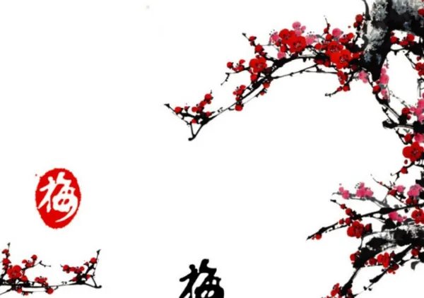 花中四君子是指什么