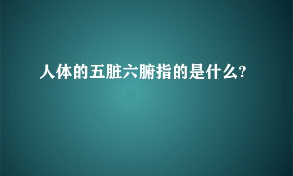 人体的五脏六腑指的是什么?