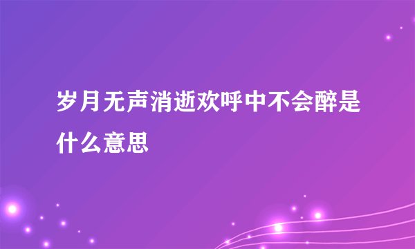 岁月无声消逝欢呼中不会醉是什么意思