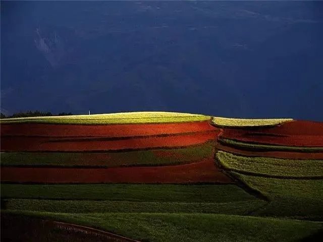 昆明，你就是个P！