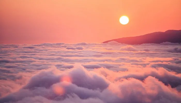 苦海翻起爱恨 在世间难逃避命运什么意思