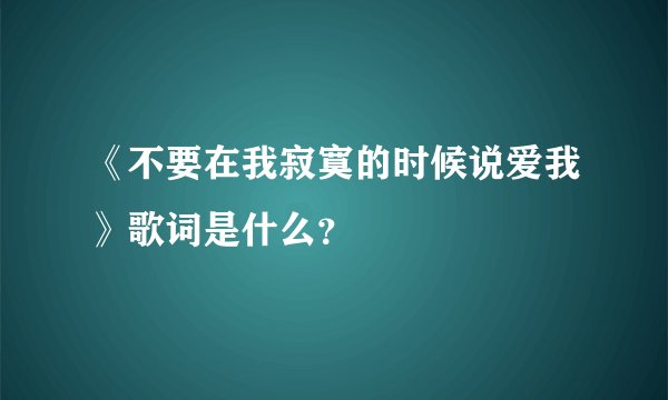 《不要在我寂寞的时候说爱我》歌词是什么？