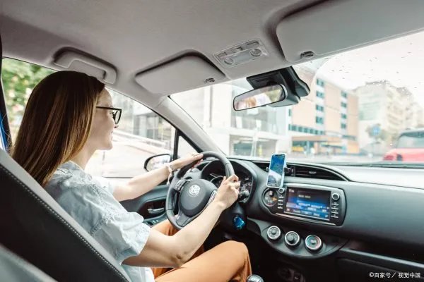 开车前为什么要拍拍车盖？如何避免开车撞上小动物呢？