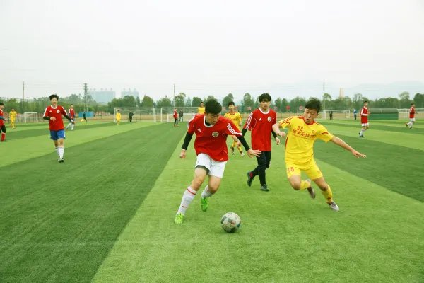 青少年足球赛现“断子绝孙”脚,如何看待不探望莫声张这种处理方式?