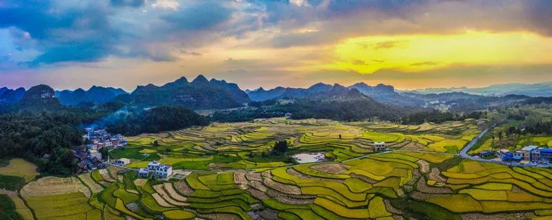 三夏指的是什么 三夏指的是什么意思