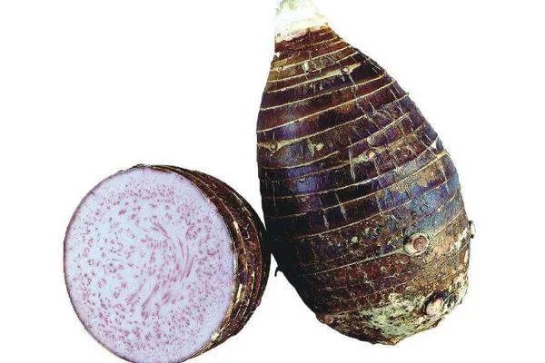 芋头粥的功效与作用是什么?如何才能做好芋头粥?