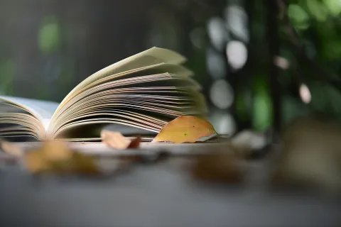 国家发明专利申请书模板