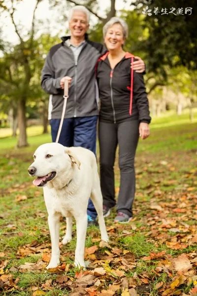 什么感觉才是爱对了人，才能每天都过情人节？