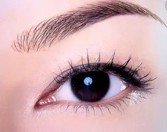 纹眉后的眉毛图片