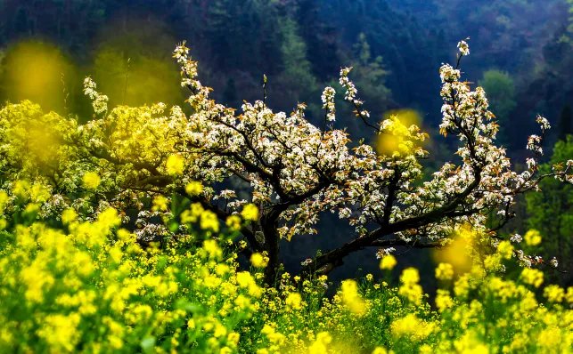 三月的别称 三月的其他叫法