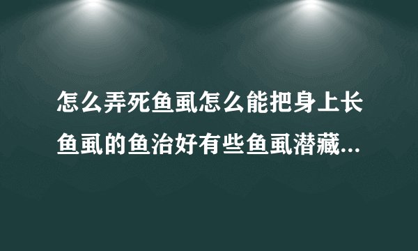怎么弄死鱼虱怎么能把身上长鱼虱的鱼治好有些鱼虱潜藏的很隐蔽不容易发现