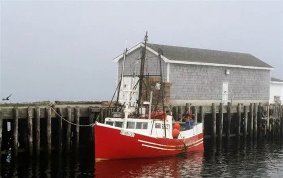 悉尼是哪个国家的?悉尼是哪个国家的城市?