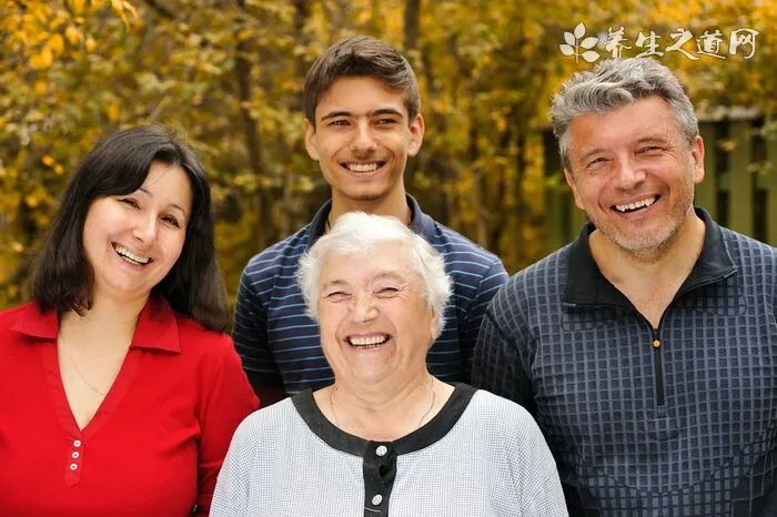 老猫健康饮食的重要性