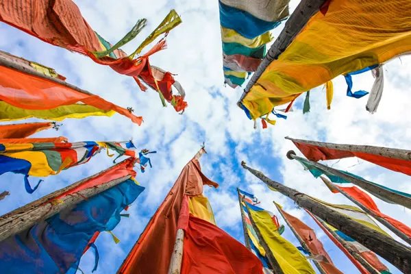 青海民歌有哪些 青海民歌特点