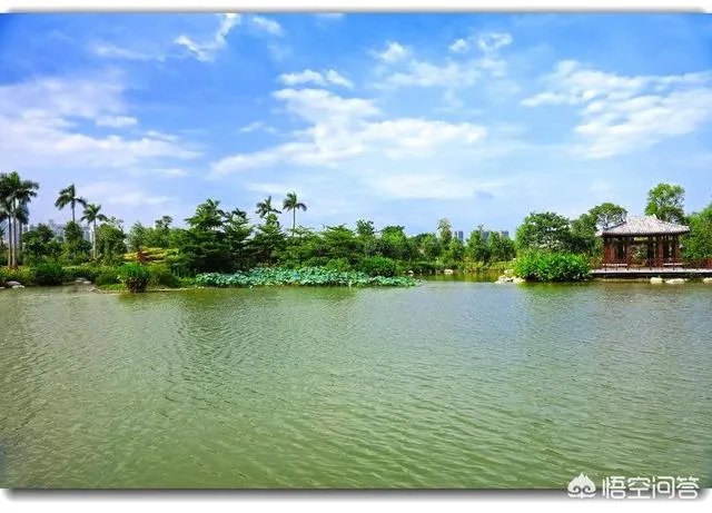 如何改装本田思域？