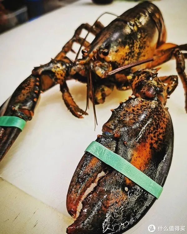 龙虾怎么做好吃