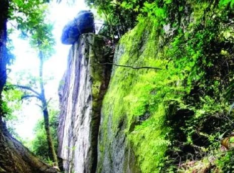 福建7地入选“中国森林氧吧”，分别是哪7个？