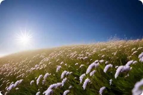 观众多是什么成语?