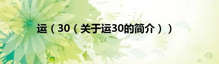 运（30（关于运30的简介））