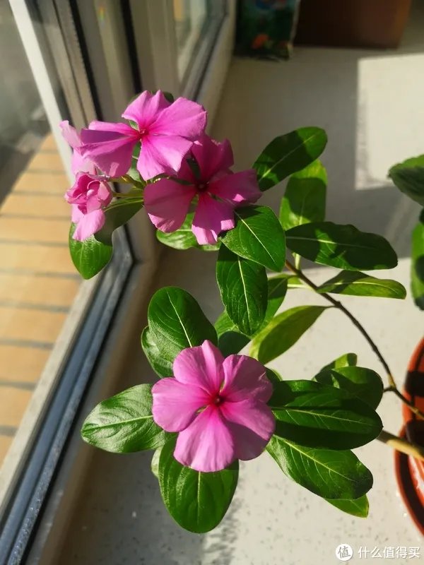 小蚁行车记录仪复活记(简单拆解+换电池)